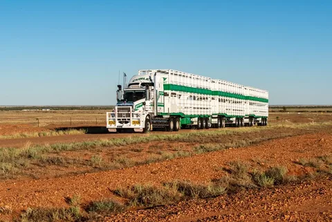 Trucks Shocks