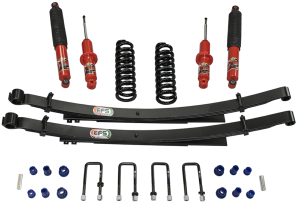 EFS LEAF SPRING REAR - Image 2